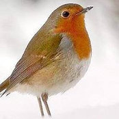 Emily Robbins's photo