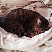 Michele Way's photo