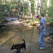 Robert Brown's photo
