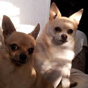 Larry Ewert's photo