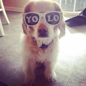 Alissa Anna's photo