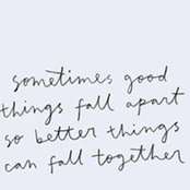 Tracy Whiteside's photo