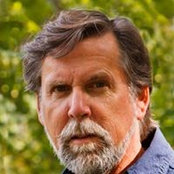 Dennis Hedbergs billede