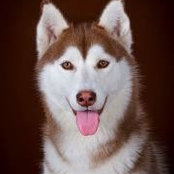 Justin ZWei's photo