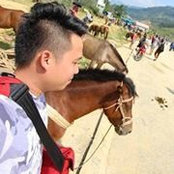 Lê Toàn Nguyễnさんの写真