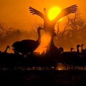 Foto von Cheri Brown