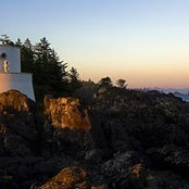 Arlene Dargan's photo