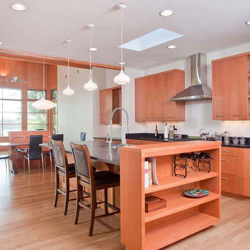 Lakeside Modern