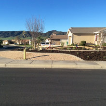 Front yard