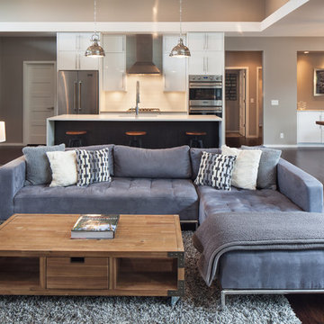 Transitional Living Room