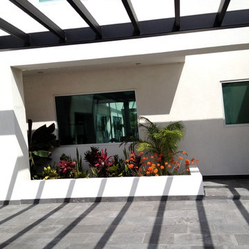 Rancho Viejo Residence (Contemporary)