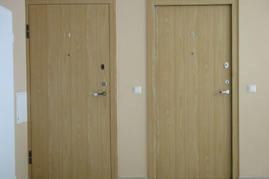 Modern Apartment Entry Doors