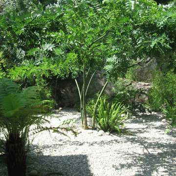 Un jardin original à Toulon