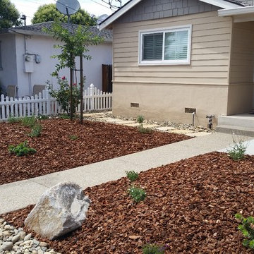 Drought Tolerant