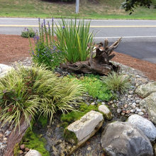landscaping Ideas
