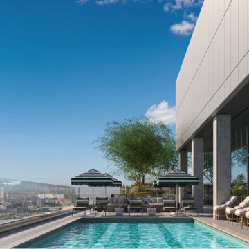 A Design Blitz Miracle — Sol Modern, Phoenix, Arizona.