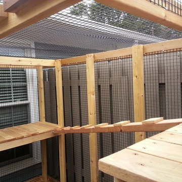 Cedar Cat Enclosure