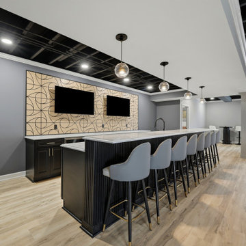 Custom Theater Focused Basement - Delafield, WI