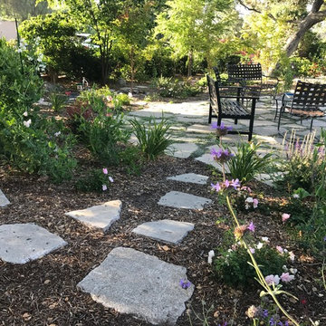 Claremont Drought Tolerant Landscape
