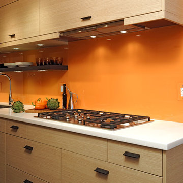 Washington D.C. - Contemporary - Galley Kitchen Design