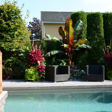 Poolside Garden and Containers
