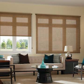 DESIGNER ROLLER SHADES