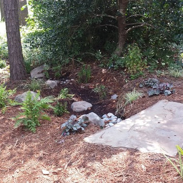 Pet-Char Stormwater Solution