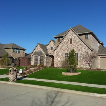 Dallas, TX - Front Yard Landscape Grass