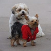 Denise Lynch's photo