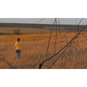 Masha Smirnova's photo