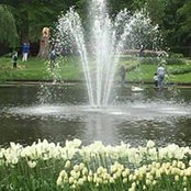 Foto von Sandi Larson