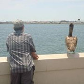 KJ Dueck's photo