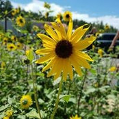 Foto von Amy Buettner