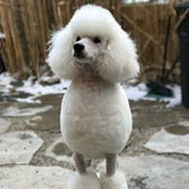 Ros Beaman's photo