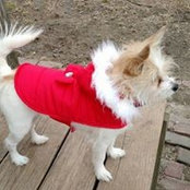 Cathy Searsen's photo