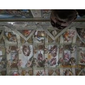 Pasquale DeMaio's photo