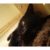 Cathy N'quart's photo