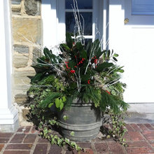 cHRISTMAS POTS