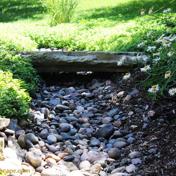 Natural Landscape - Dry Creeks