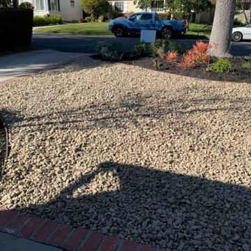 Front Yard Design and Install