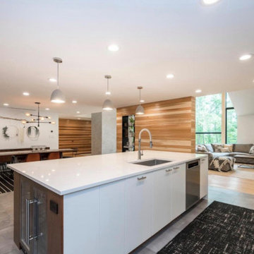 Full Home Renovation - Phoenixville, PA