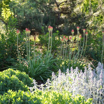 Conservation Landscape