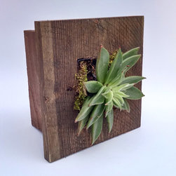 Sell on Houzz - Plants
