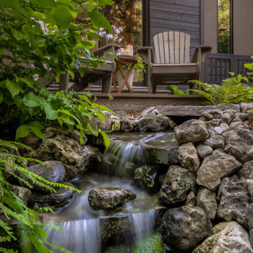 Forest Retreat