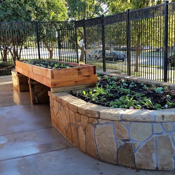 A habitat garden with wheelchair access