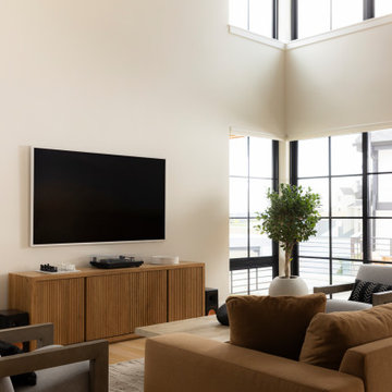 Contemporary Living Room