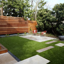 Landscape Ideas