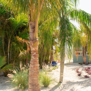Tropical Design & Installation - West Bradenton
