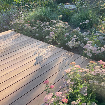 Deck and native plants