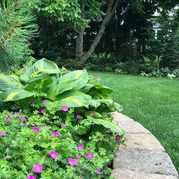 Residential Shade Garden